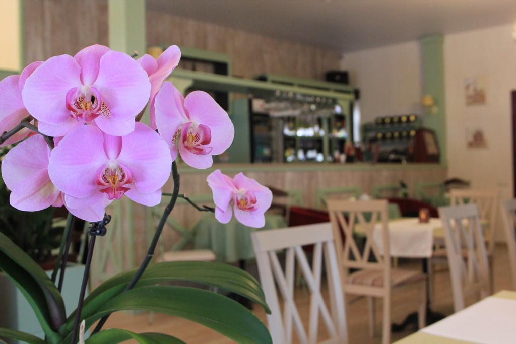 Seasons Spa Boutique Hotel Kozyn Екстериор снимка
